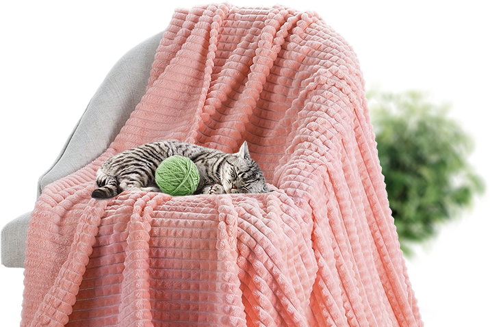 ������ ������ ��� ���� � ��������